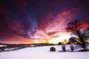 Sunset & Snow.